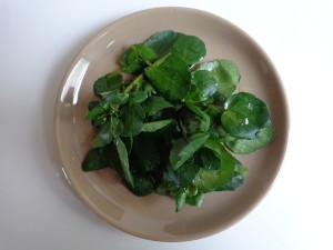 watercress salad1