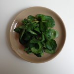 watercress salad2