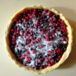 red and black currant tart3